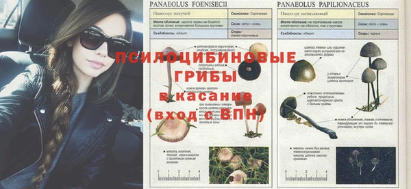 винт Алзамай